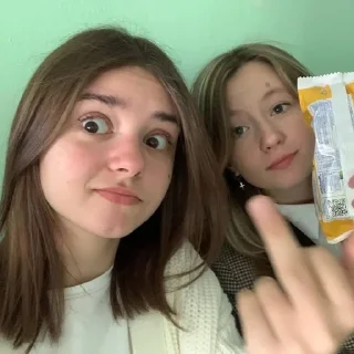 🖕 emoji полиша Telegram sticker 11 of 35