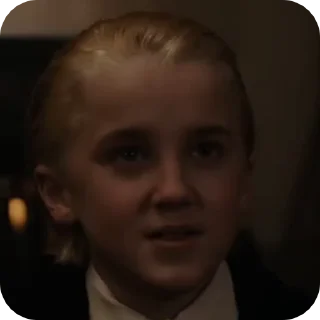 🍏 emoji Draco malfoy fr @lonrzeqx Telegram sticker 5 of 50