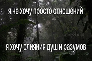 🌟 emoji ir блонди core: Telegram sticker 12 of 120