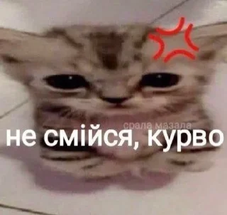 Sticker from стіки державною