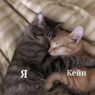 ❤️ emoji Жиза Telegram sticker 13 of 54