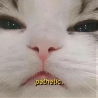 Sticker from котики<3
