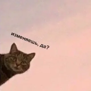 ❔ emoji муркотики // t Telegram sticker 16 of 118