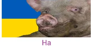 🇺🇦 emoji ДАЙ 🇺🇦🇺🇦🇺🇦 Telegram sticker 13 of 30