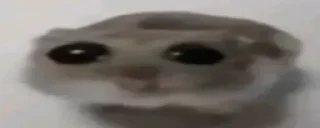 🐹 emoji 🌚 @CloobHub • @Earth928B 🌝 Memes Meme Мемы Мем Telegram sticker 23 of 118