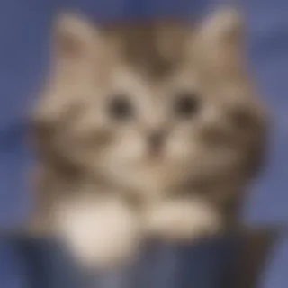 🌟 emoji болванчик порванный сарафанчик Telegram sticker 8 of 58