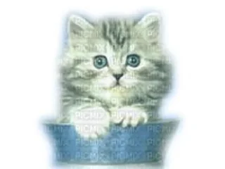 🌟 emoji болванчик порванный сарафанчик Telegram sticker 20 of 58