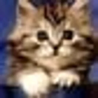 🌟 emoji болванчик порванный сарафанчик Telegram sticker 23 of 58