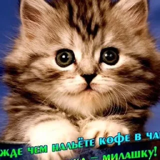🌟 emoji болванчик порванный сарафанчик Telegram sticker 12 of 58
