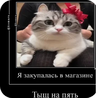 Sticker from Создатель я профи ::