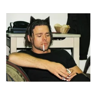 😼 emoji Rammstein Telegram sticker 10 of 30