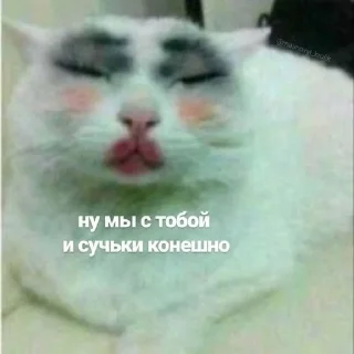 Sticker from pigchik
