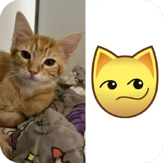 🫥 emoji котеки сабачке Telegram sticker 19 of 70
