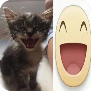 🫥 emoji котеки сабачке Telegram sticker 15 of 70