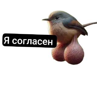 🐦 emoji Яйца Telegram sticker 16 of 48
