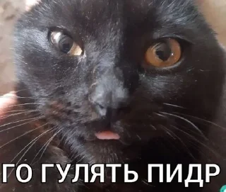 😘 emoji Басик Шелби Telegram sticker 12 of 14