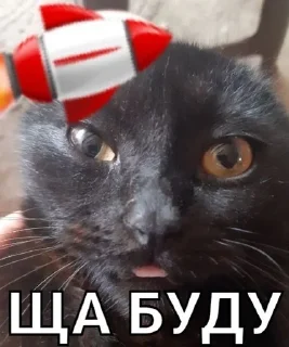 😂 emoji Басик Шелби Telegram sticker 13 of 14