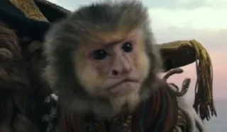 Sticker from Funny monkeys