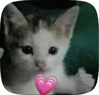 🌟 emoji уёбки Telegram sticker 23 of 46