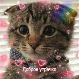 💗 emoji мяу Telegram sticker 17 of 83