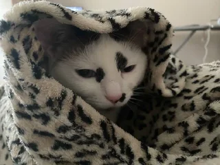 🥱 emoji Лерочка Telegram sticker 24 of 38