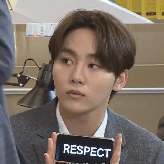 🫡 emoji seventeen core Telegram sticker 3 of 83