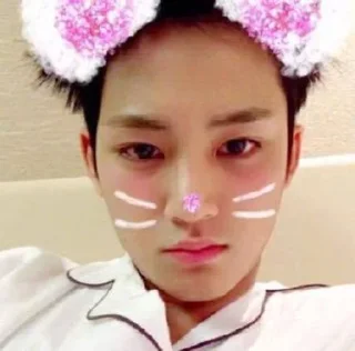😞 emoji Севентин собаки ебать Telegram sticker 9 of 19