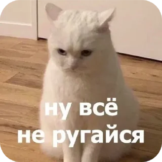 🐱 emoji река:: @LoonyStik Telegram sticker 6 of 48