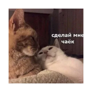 ☕️ emoji мимими @stickersforyourlife Telegram sticker 17 of 20