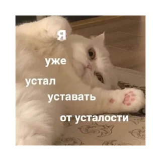 🥱 emoji мимими @stickersforyourlife Telegram sticker 9 of 20