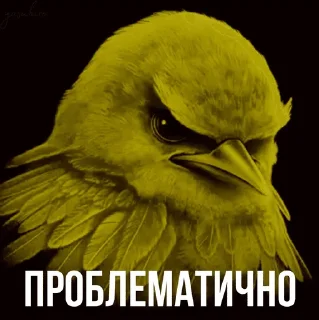Sticker from @KokosicLox больше стикеров