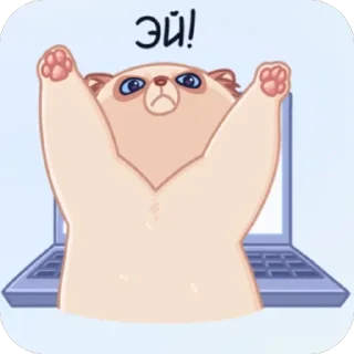 Sticker from VKontakte2