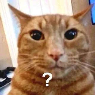 🤨 emoji meoww Telegram sticker 10 of 60
