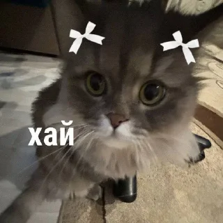 Sticker from сэм&черныш