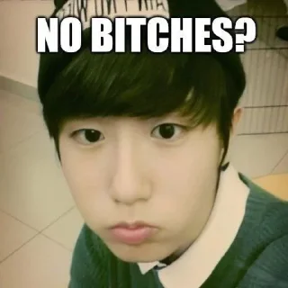 Sticker from skz "no bitches?"