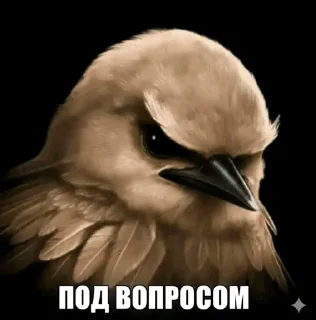 🌟 emoji Ебучие птицы/by мантис Telegram sticker 19 of 120