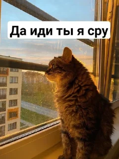 🥵 emoji 🌟 Статический Telegram sticker 6 of 72
