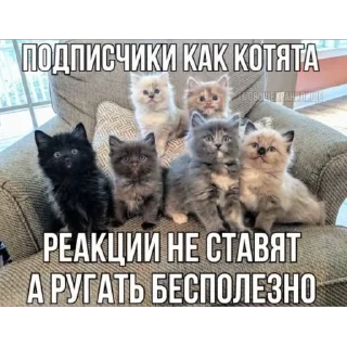 🥰 emoji mnэлэн коты >:3 Telegram sticker 13 of 67
