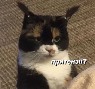 🌟 emoji На случай важных переговоров Telegram sticker 19 of 120