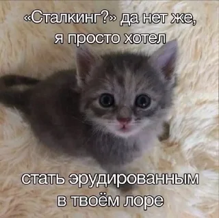 🌟 emoji На случай важных переговоров Telegram sticker 23 of 120
