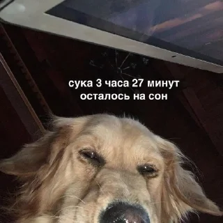 🌟 emoji на случай вп Telegram sticker 19 of 46