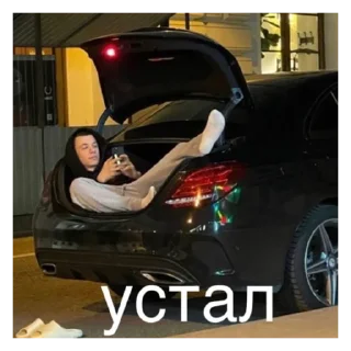 🫠 emoji Macan @stickersforyourlife Telegram sticker 14 of 14
