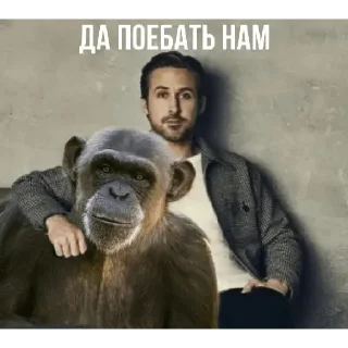 🙊 emoji Да поебать мне Telegram sticker 10 of 73