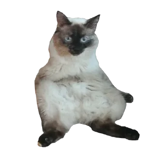 😕 emoji ада Telegram sticker 17 of 54