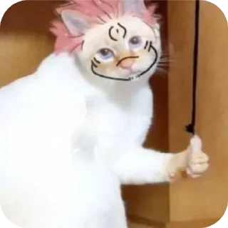 🐱 emoji Фурри сукуа Telegram sticker 8 of 12