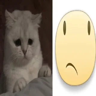 🌟 emoji sobachko kotik @v1olon Telegram sticker 10 of 67