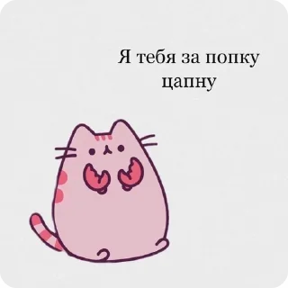 😽 emoji дед Сонечка Telegram sticker 10 of 39
