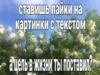 🌟 emoji Няшки правят миром Telegram sticker 15 of 119