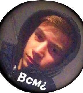 🤨 emoji мы нормальные Telegram sticker 7 of 65