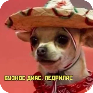 🐶 emoji Отборное искусство Telegram sticker 9 of 12